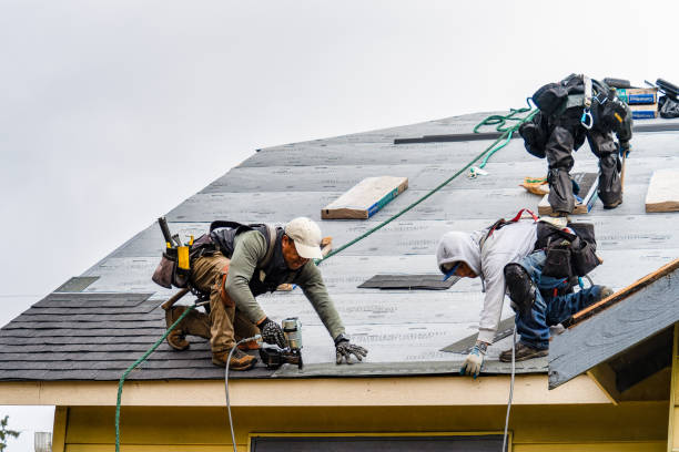 Professional Gutter Installation technician working in Genoa, IL